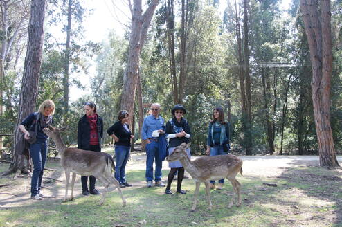 Excursion to the natural reserve