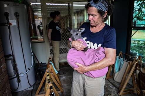 Photo by International Fund for Animal Welfare