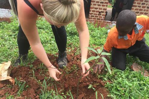 Uganda Environment Conservation