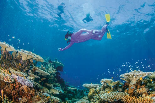 TEAN: Study Abroad in Townsville, Australia