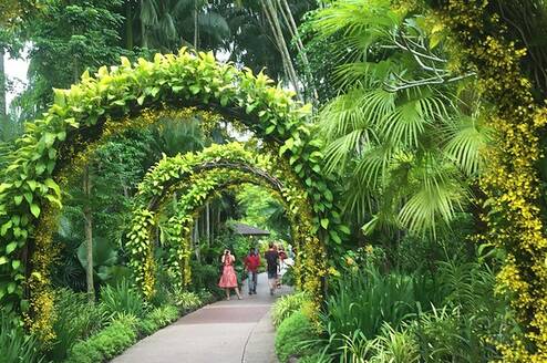 TEAN: Study Abroad in Singapore