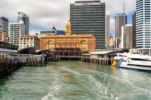 TEAN: Study Abroad in Auckland, New Zealand