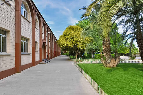 Our school