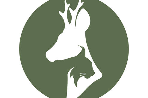 European Wildlife Vets
