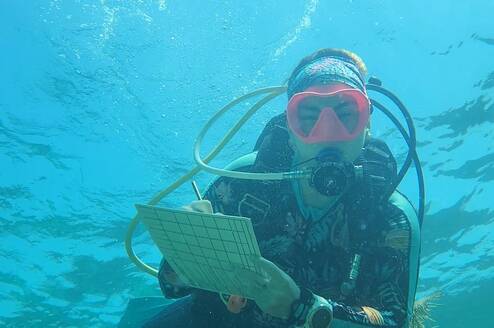 Diver surveying coral health