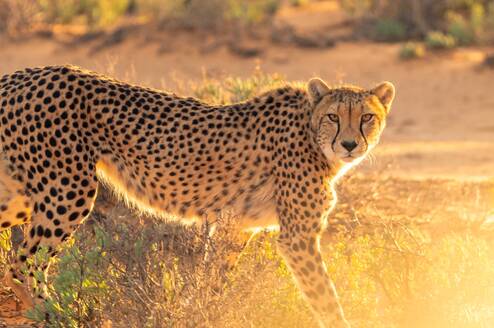 Volunteer in Zambia