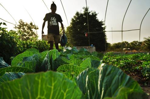 Sustainable farming
