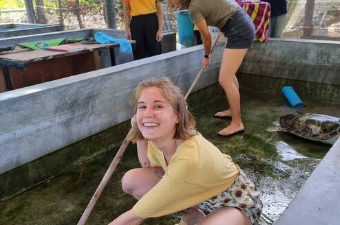 Volunteers help the staff cleaning the turtle tubs