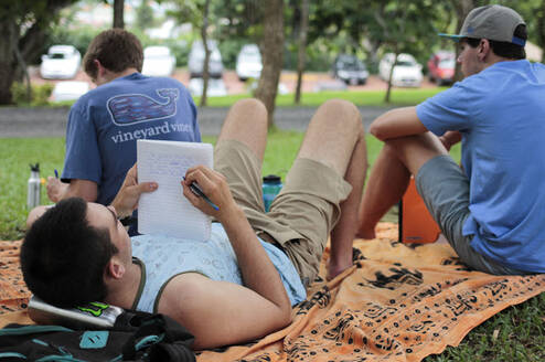 Students studying outdoors on campus