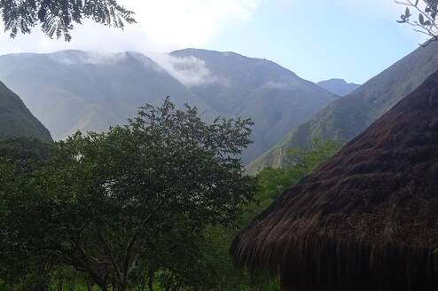 Mountain fog in the mornings
