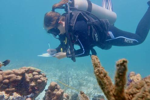Diver doing an underwater conservation survey