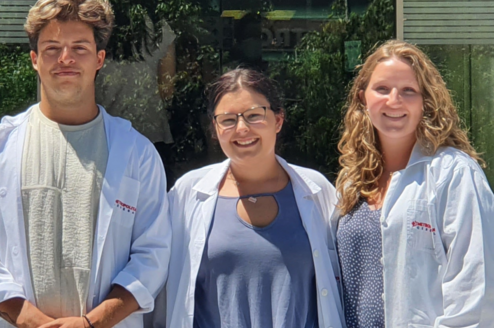 Physician Assistant Internships