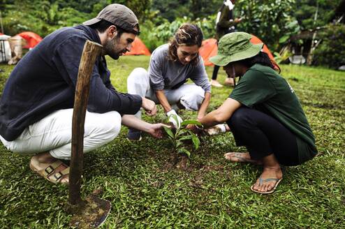 3 people planting seedlings together