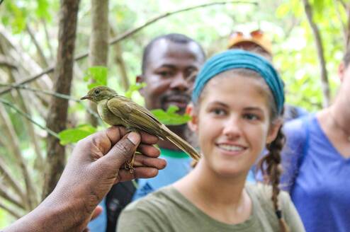 Students studying a bird in the rainforest.