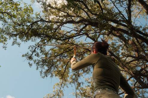 Tracking wildlife with VHF