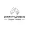 Domino Volunteers