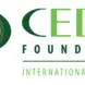 Centers for Interamerican Studies - CEDEI