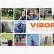 Viborg Sports Academy