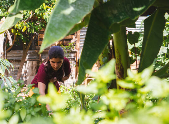 Agriculture Intern - Intern Abroad HQ