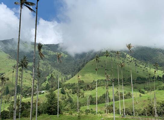 Colombia excursion