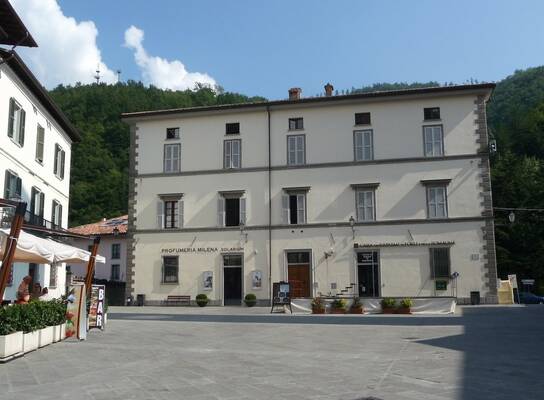 The school is located in the elegant 19th century Palazzo Malvisi with 8 fully equipped classrooms.   