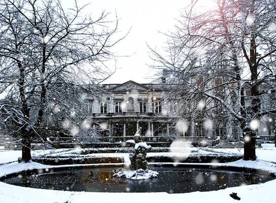 Roehampton in Winter