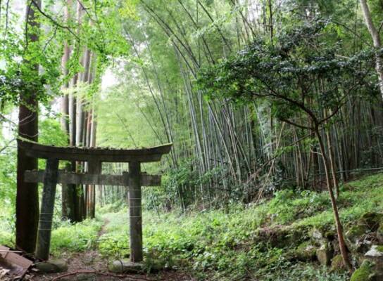 Semester in Japan – Toyo University