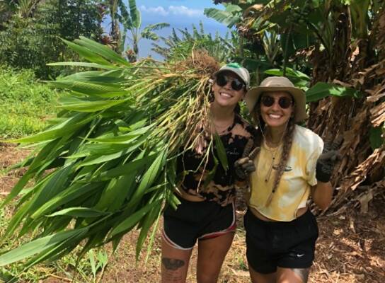 forest restoration with local non-profit