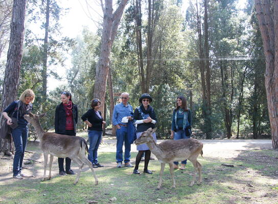 Excursion to the natural reserve
