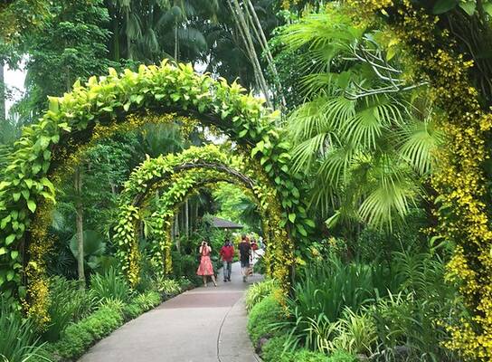 TEAN: Study Abroad in Singapore