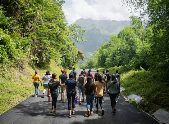 Students walking as a group
