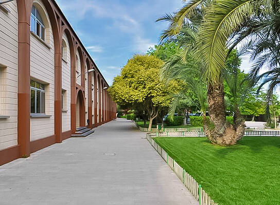 Our school