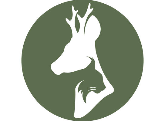 European Wildlife Vets