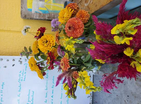 A vase of farm-grown flowers