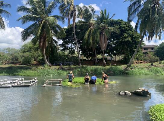 ARCC Hawaii Gap Semester