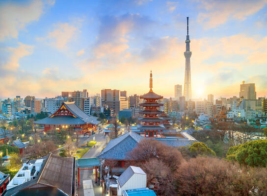 Study Japan