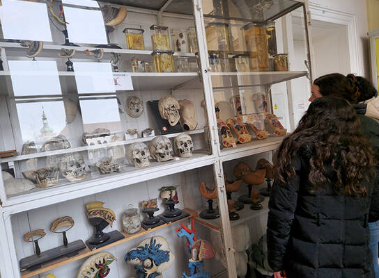 anatomy museum charles university first faculty of medicine