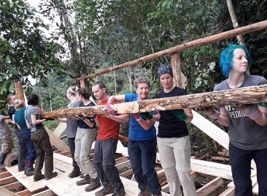 jungle volunteers