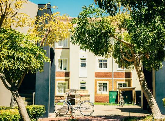 Stellenbosch University