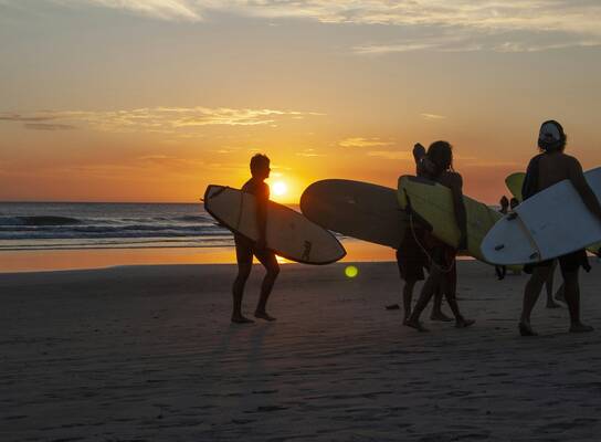 New Summer Plans