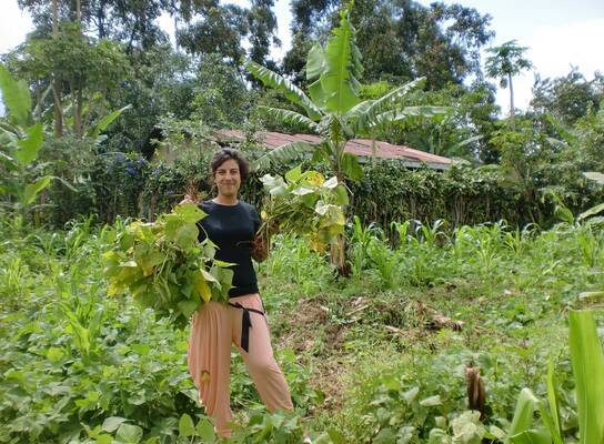 environmental conservation