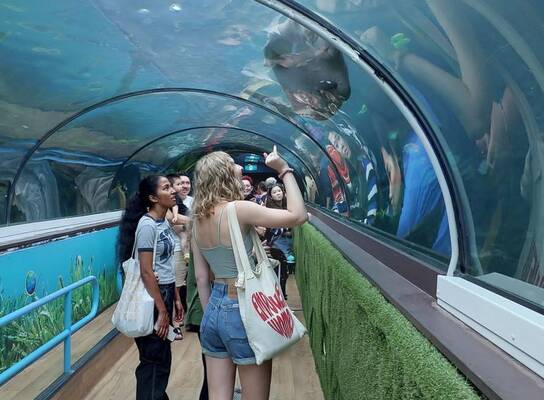 Students visiting aquarium in Sydney