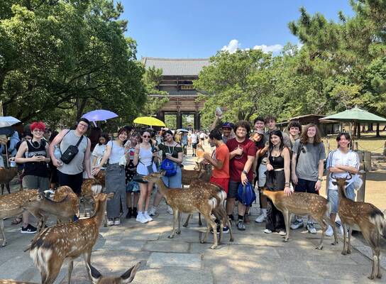 Petting Wild Deer in Nara