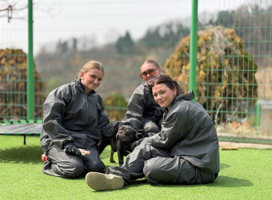 Volunteers in South Korea 