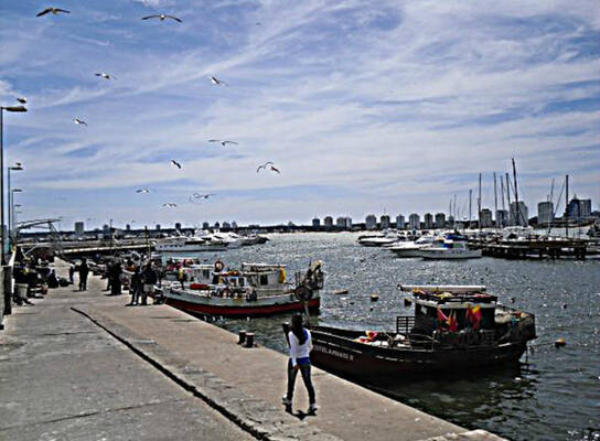 Internships in Uruguay