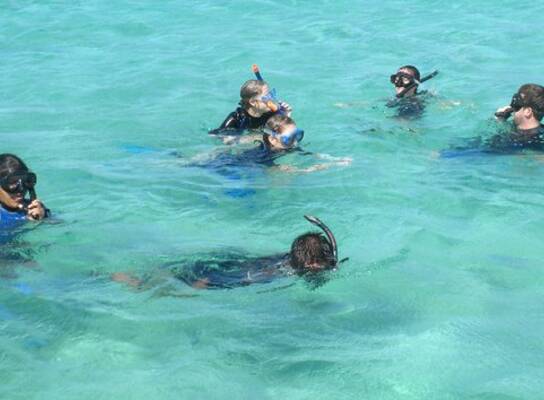 Students swimming