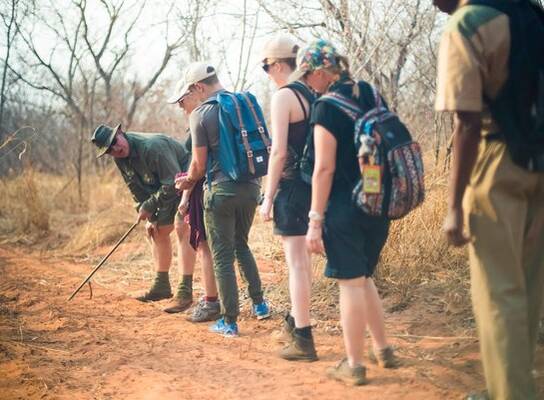 Wildlife Conservation in Victoria Falls with IVHQ