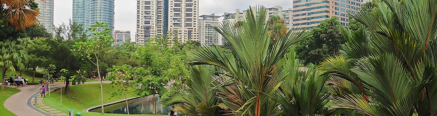 Conservation &amp; Community Internships in Malaysia
