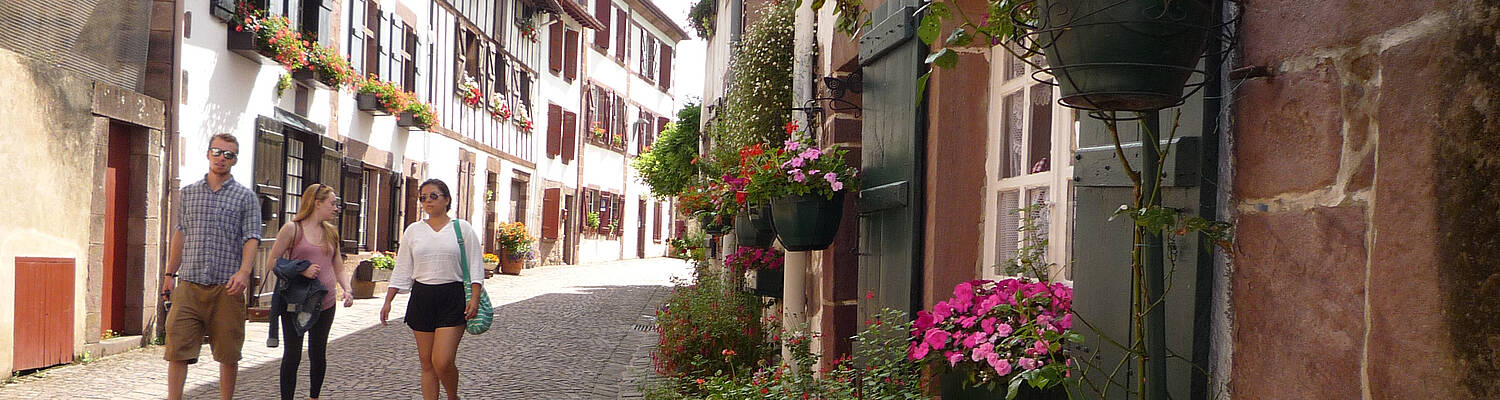 France: Pau - French Language and European Studies
