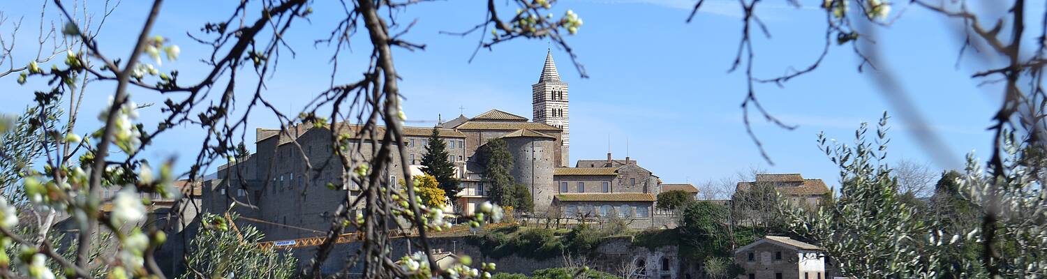 Italy: Viterbo - Intensive Italian Language, History, and the Arts

